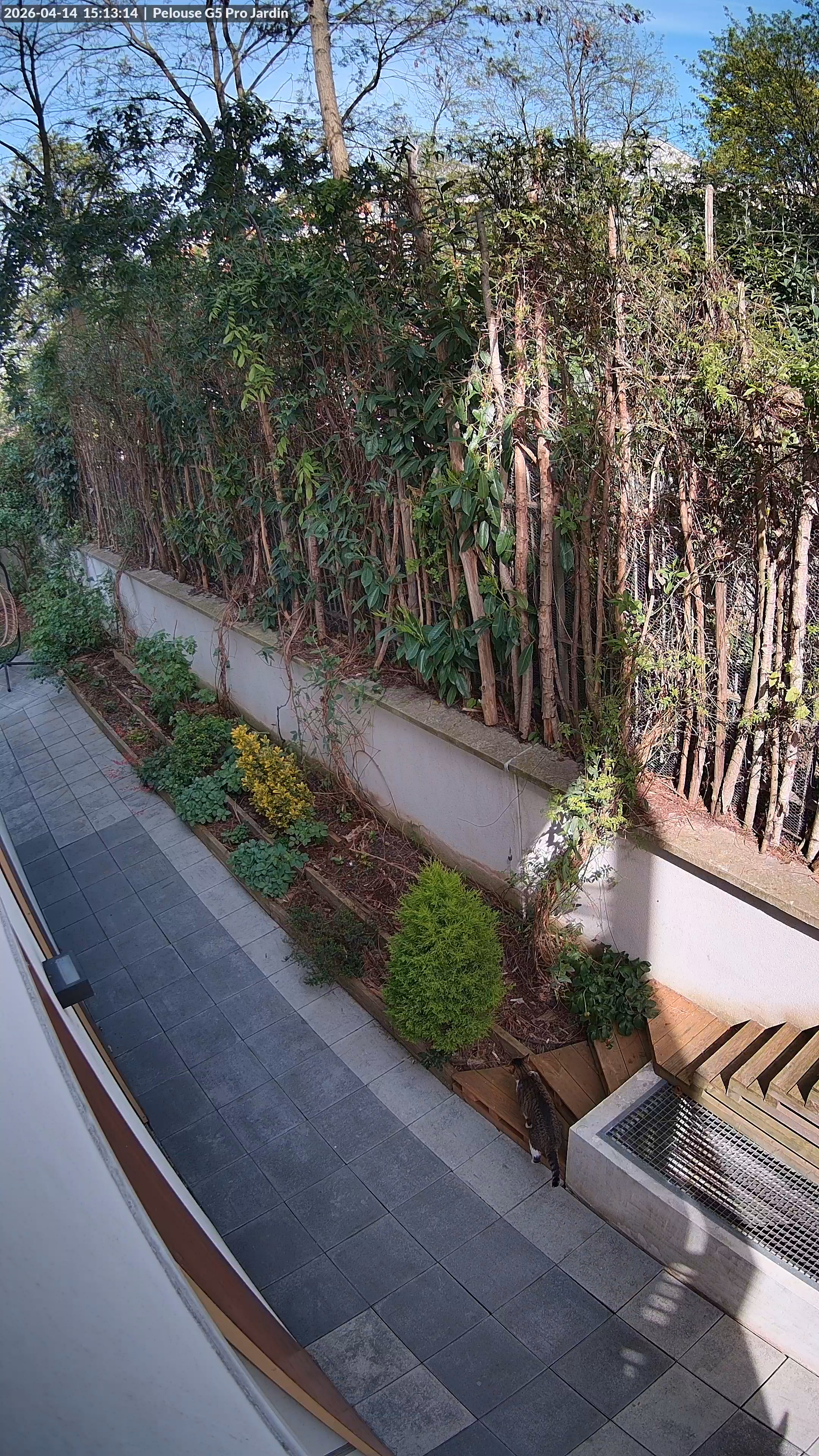 Vue depuis ma caméra Unifi Protect